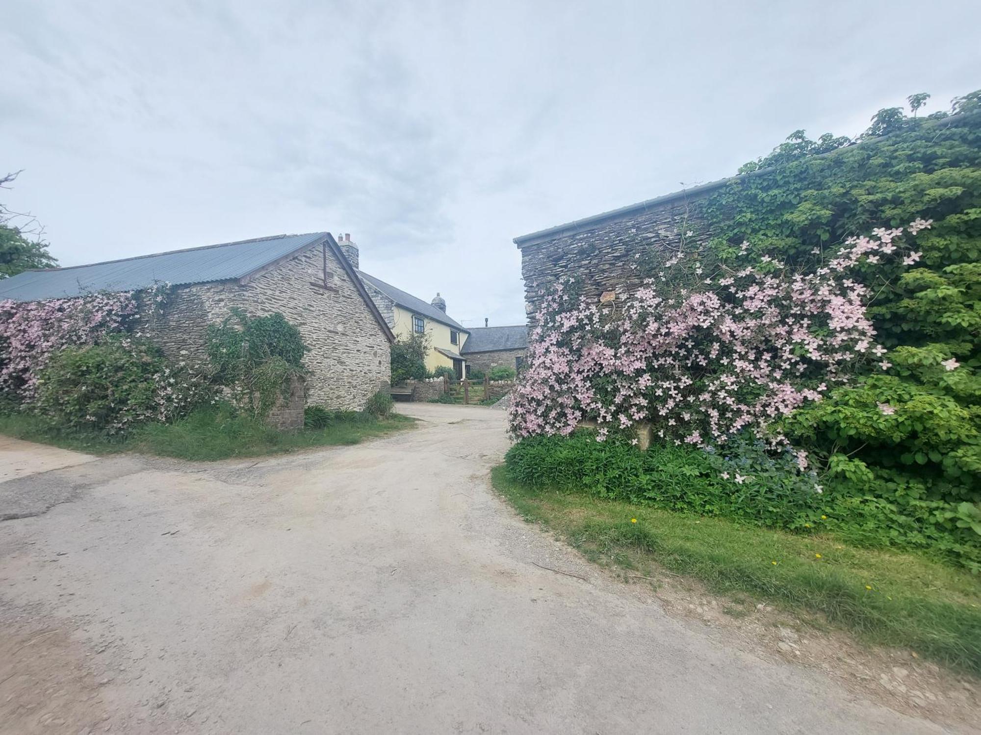 Rural Historic Farmhouse - A Peaceful Escape West Down Exterior foto
